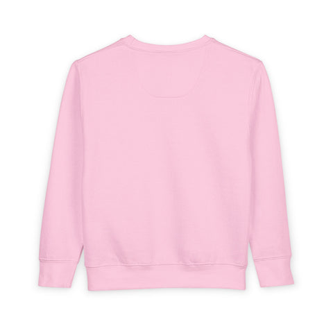 Tiny Terror Toddler Sweatshirt – Cute Monster Kids Pullover