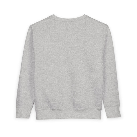 Nap Time Champion Toddler Sweatshirt — Cute Sleeping Baby Graphic