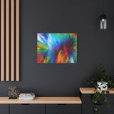 Abstract Color Explosion Matte Canvas Print