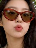 Cat Eye Sunglasses