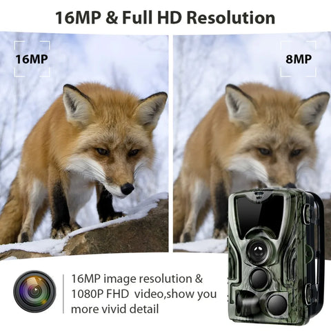 HC801A-LI Trail Hunting Camera – 20MP Night Vision, 1080P HD, 5000mAh Rechargeable Lithium Battery, IP65 Waterproof