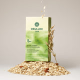 OSULLOC Jeju Matcha Oat Blend (10 Sticks) – Premium Vegan Matcha Latte Mix with Oats & Almonds
