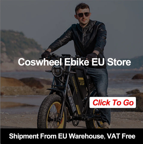 Coswheel CT20S 2000W Electric Dirt Bike – 60V 27.5Ah Fat Tire Ebike for Adults (20" Off-Road Tires, 161km Range)