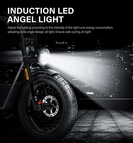 Coswheel CT20S 2000W Electric Dirt Bike – 60V 27.5Ah Fat Tire Ebike for Adults (20" Off-Road Tires, 161km Range)