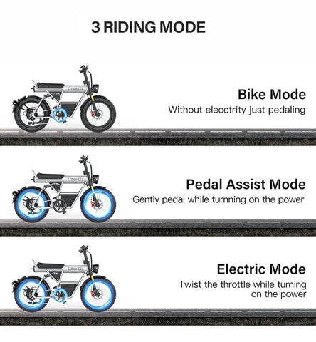 Coswheel CT20S 2000W Electric Dirt Bike – 60V 27.5Ah Fat Tire Ebike for Adults (20" Off-Road Tires, 161km Range)
