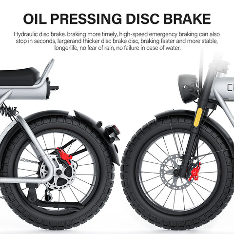 Coswheel CT20S 2000W Electric Dirt Bike – 60V 27.5Ah Fat Tire Ebike for Adults (20" Off-Road Tires, 161km Range)