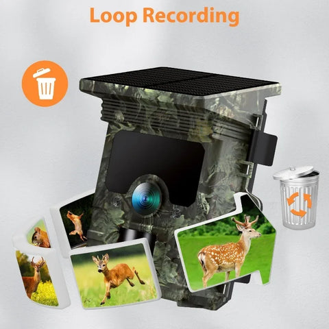 30MP 2K Solar Trail Camera – Infrared Night Vision Wildlife & Security Cam with Motion Sensor & Long Battery Life (IP66 Waterproof)