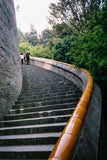 Original KODAK ColorPlus 200 35mm Film – 36 Exposures per Roll