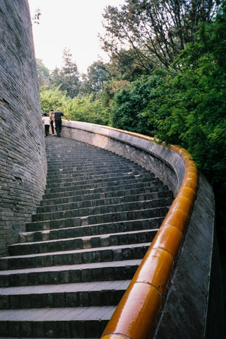 Original KODAK ColorPlus 200 35mm Film – 36 Exposures per Roll
