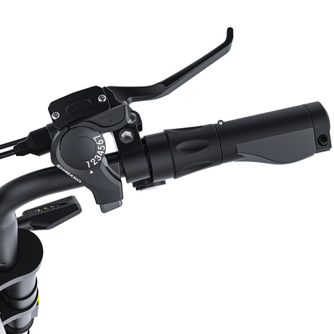 Coswheel CT20S 2000W Electric Dirt Bike – 60V 27.5Ah Fat Tire Ebike for Adults (20" Off-Road Tires, 161km Range)