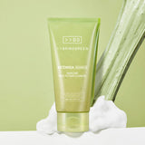 BRINGGREEN Artemisia Calming EX Modeling Pack to Foam Cleanser 120ml